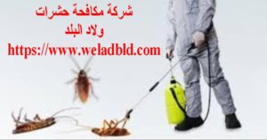 شركة مكافحة حشرات في ابو ظبي