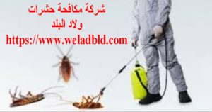 شركة مكافحة حشرات في مربح