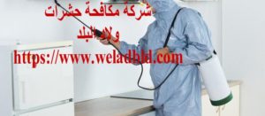 افضل شركة مكافحة حشرات في مربح