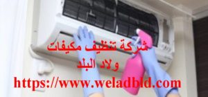 شركة نظافة مكيفات كلباء