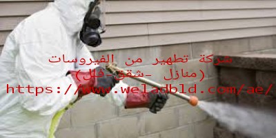 شركة رش مبيدات في دبي
