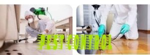 Best to control insects in Dubai