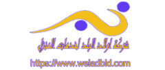 ولاد البلد خدمات منزلية